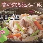 鶏五目